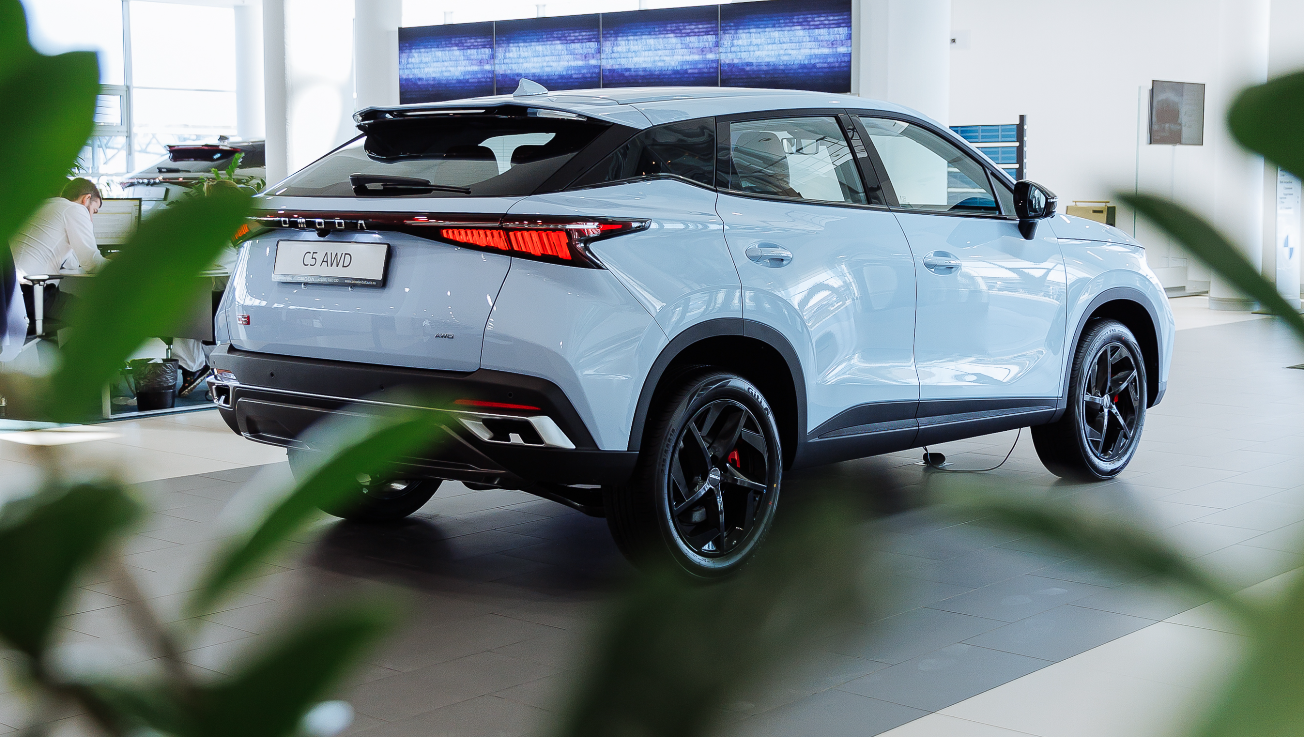 Кузов и колесная база