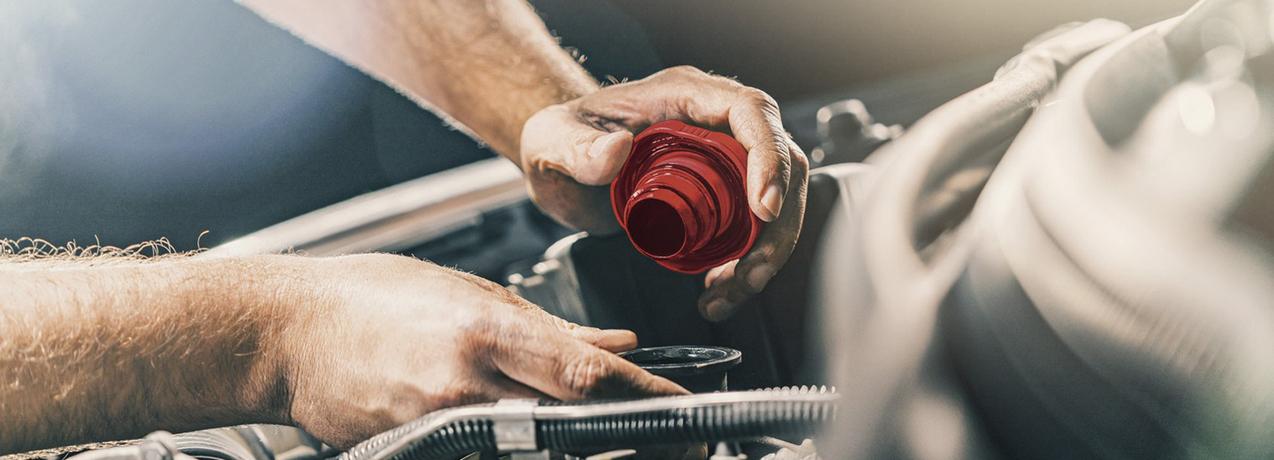 Бонусная программа