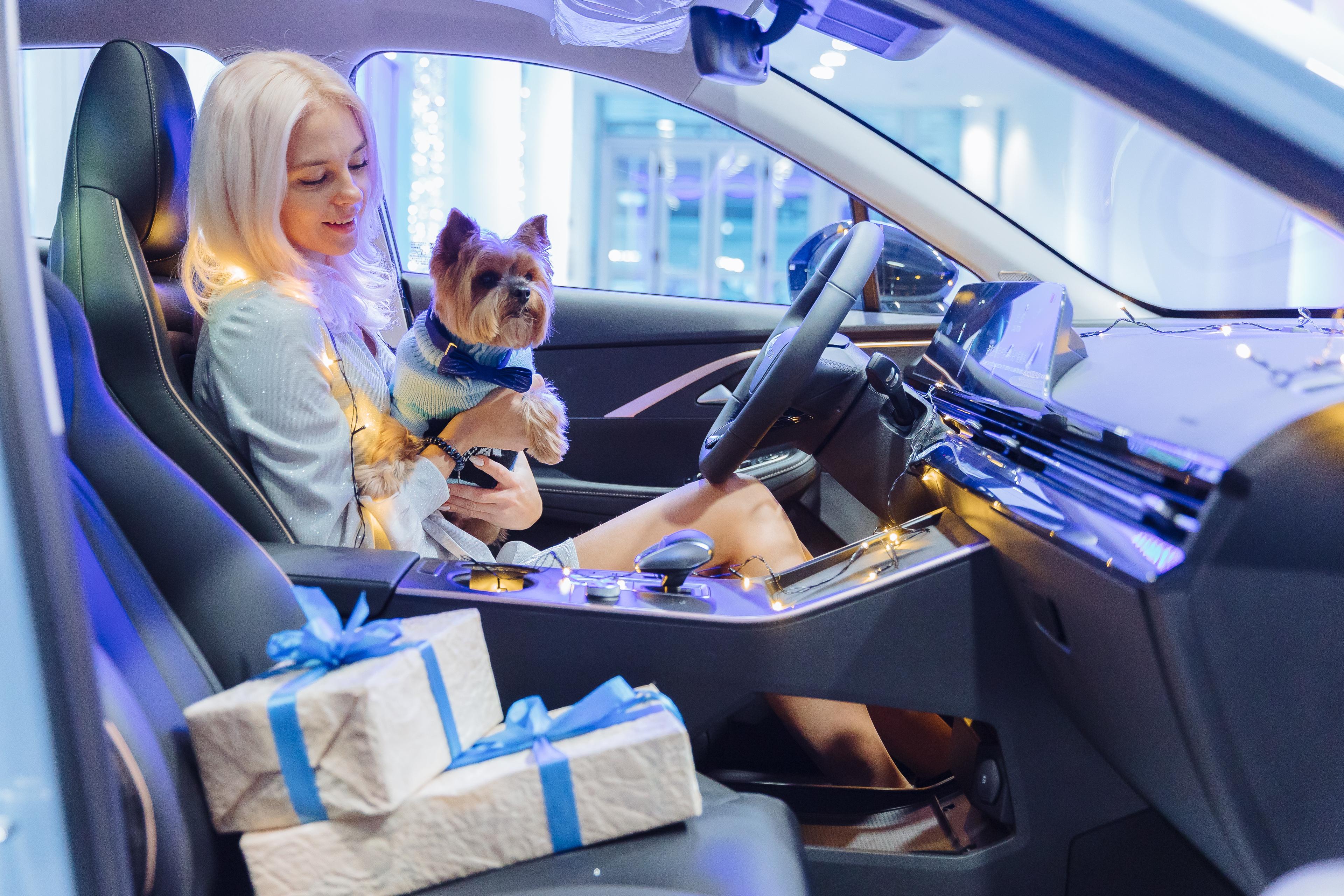 WELCOME PETS в  OMODA БалтАвтоТрейд! 