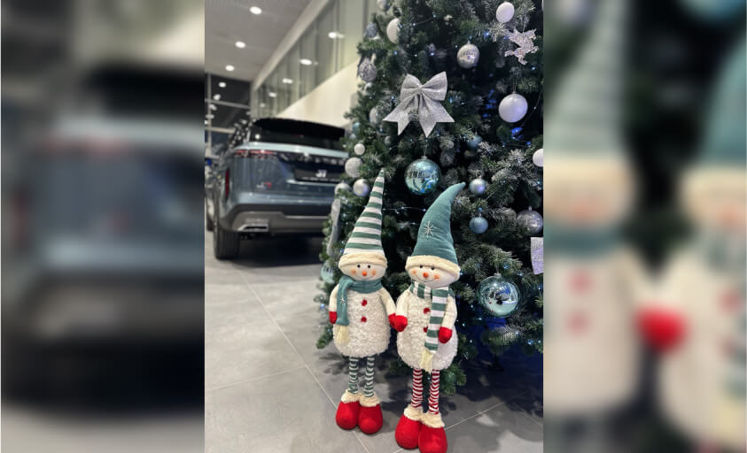 Новый Год - время волшебства!