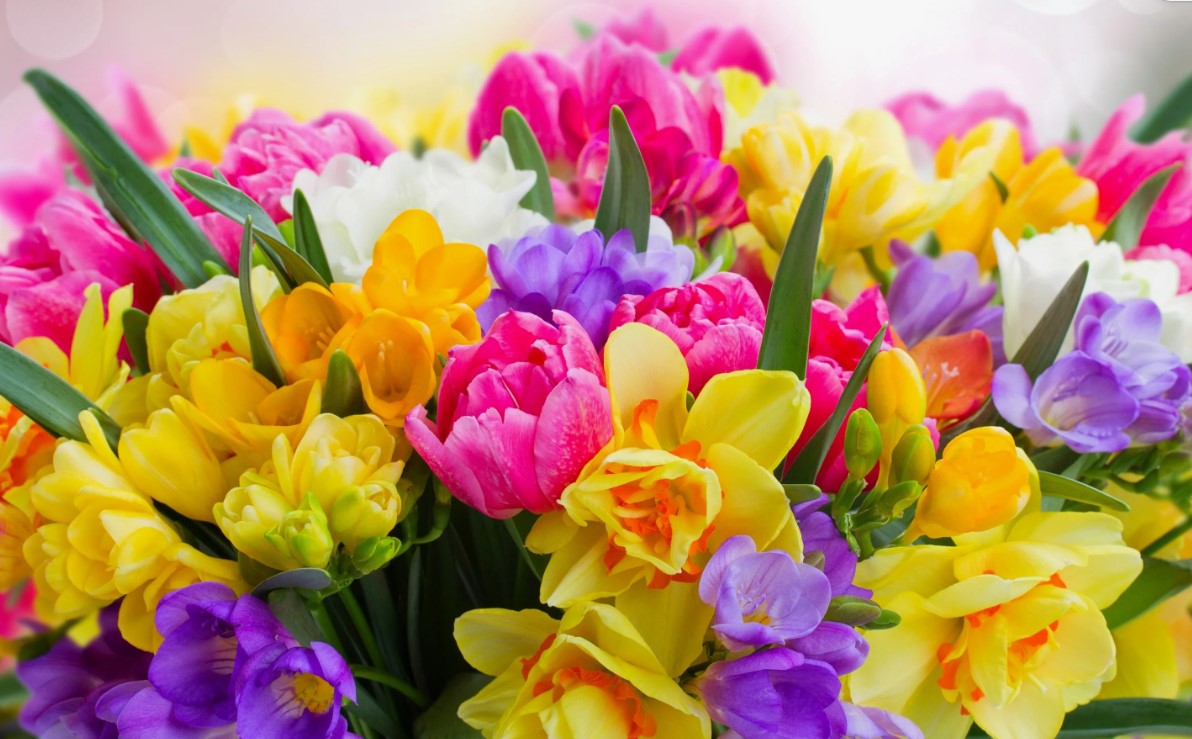 Поздравляем с 8 Марта!