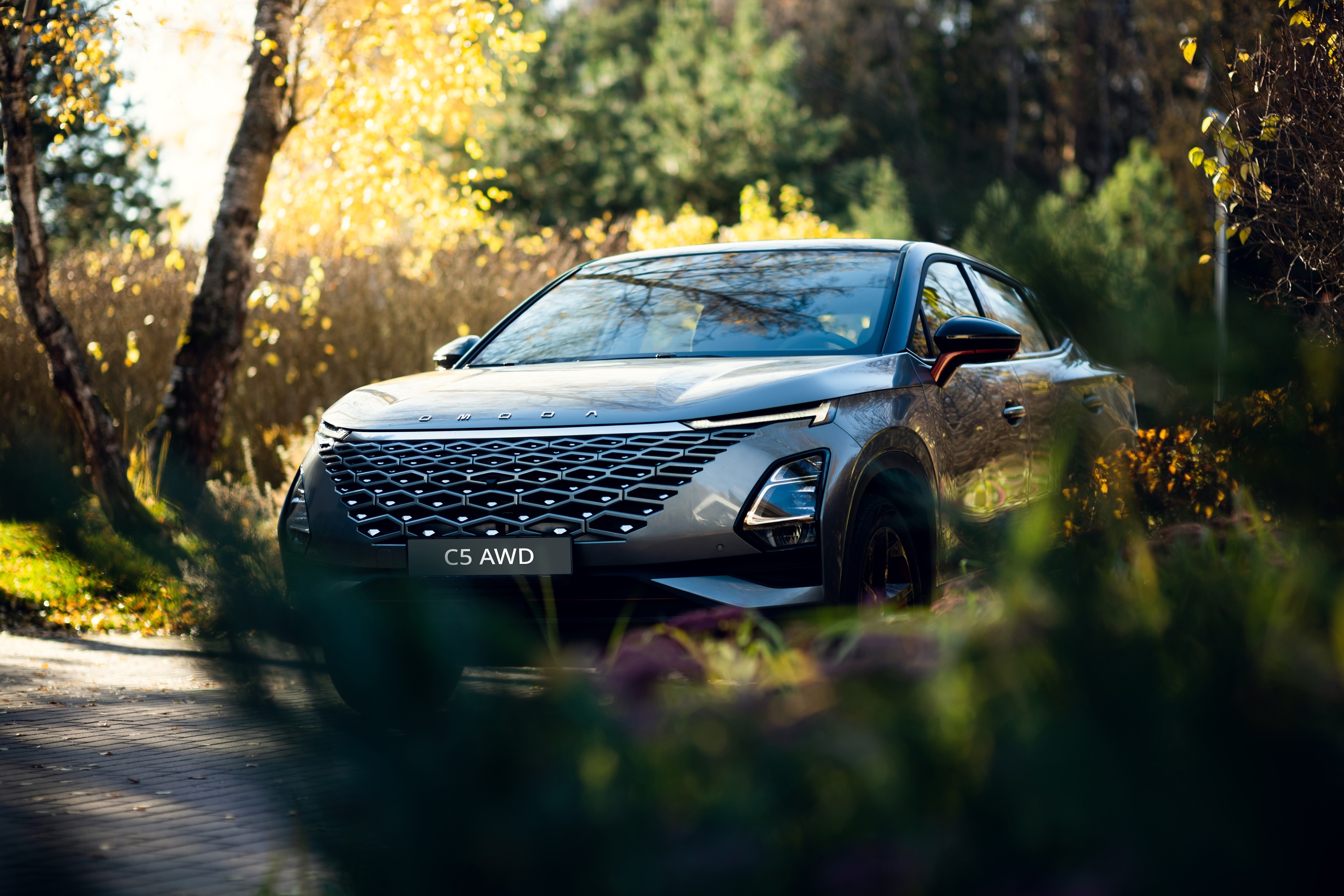 Условия покупки OMODA C5