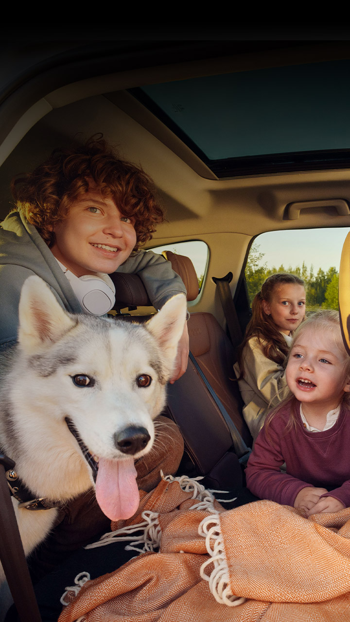 Что такое страхование автомобиля?