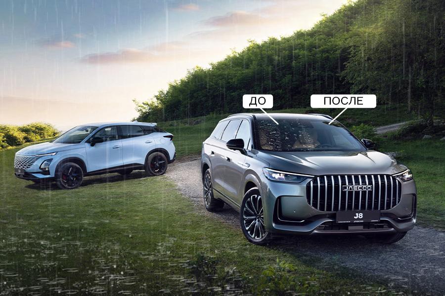 Дай дворникам отдохнуть!