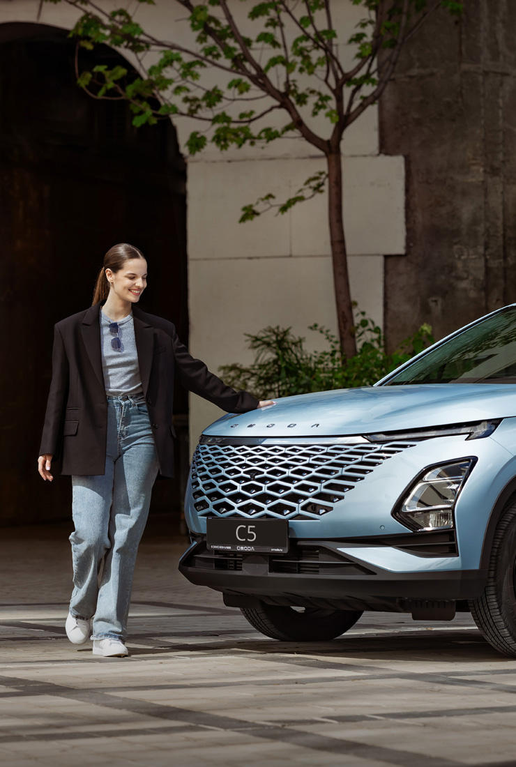 Оригинальные аксессуары