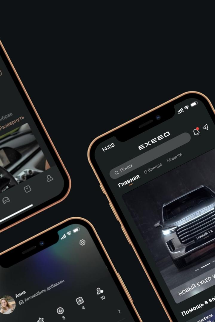 Телематика EXEED*