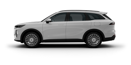 Прайм/Prime, 2024