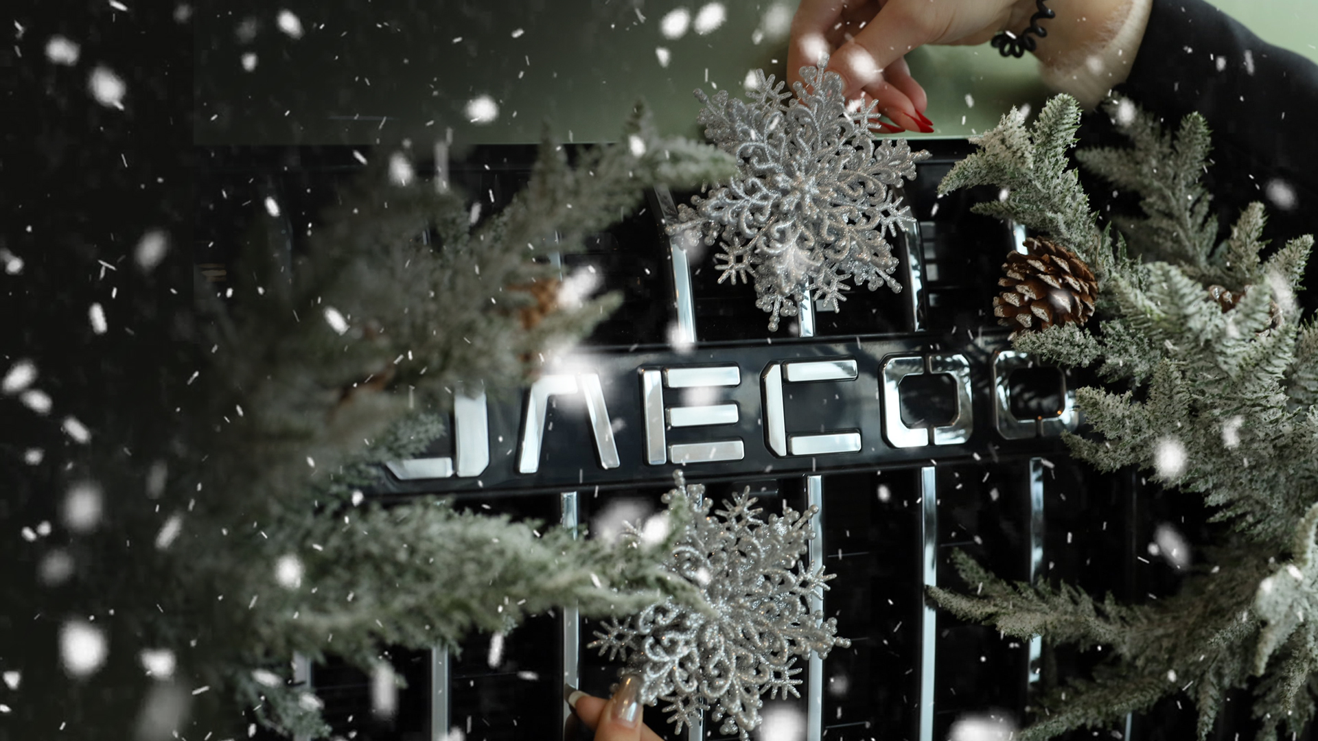 НОВОГОДНИЙ СЕРВИС JAECOO в МОТОМ!