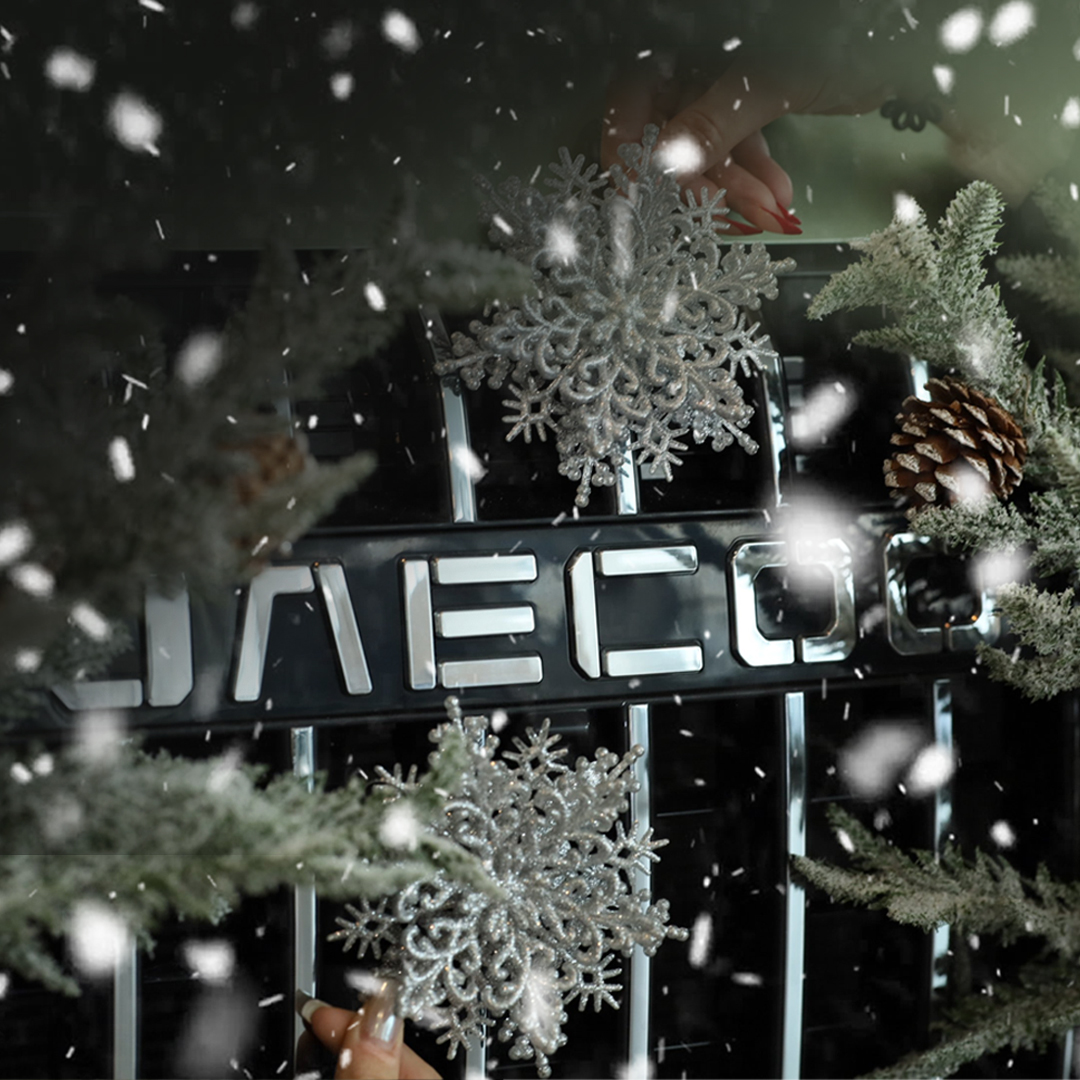 НОВОГОДНИЙ СЕРВИС JAECOO в МОТОМ!