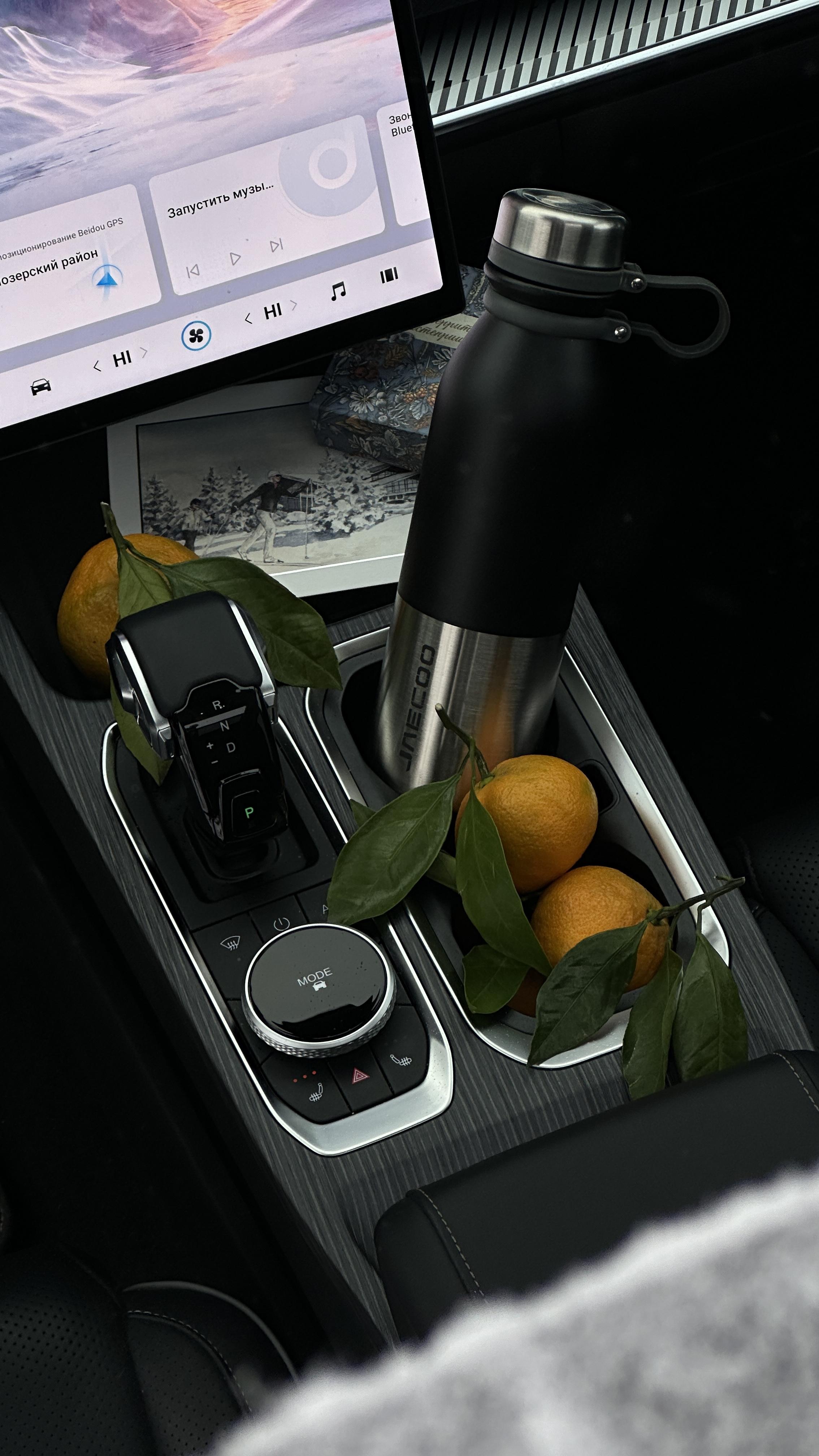 С новым 2025 годом