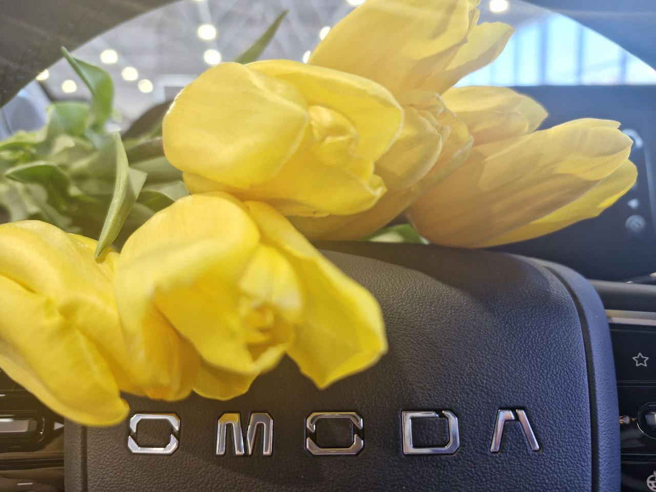 С праздником, дорогие девушки!