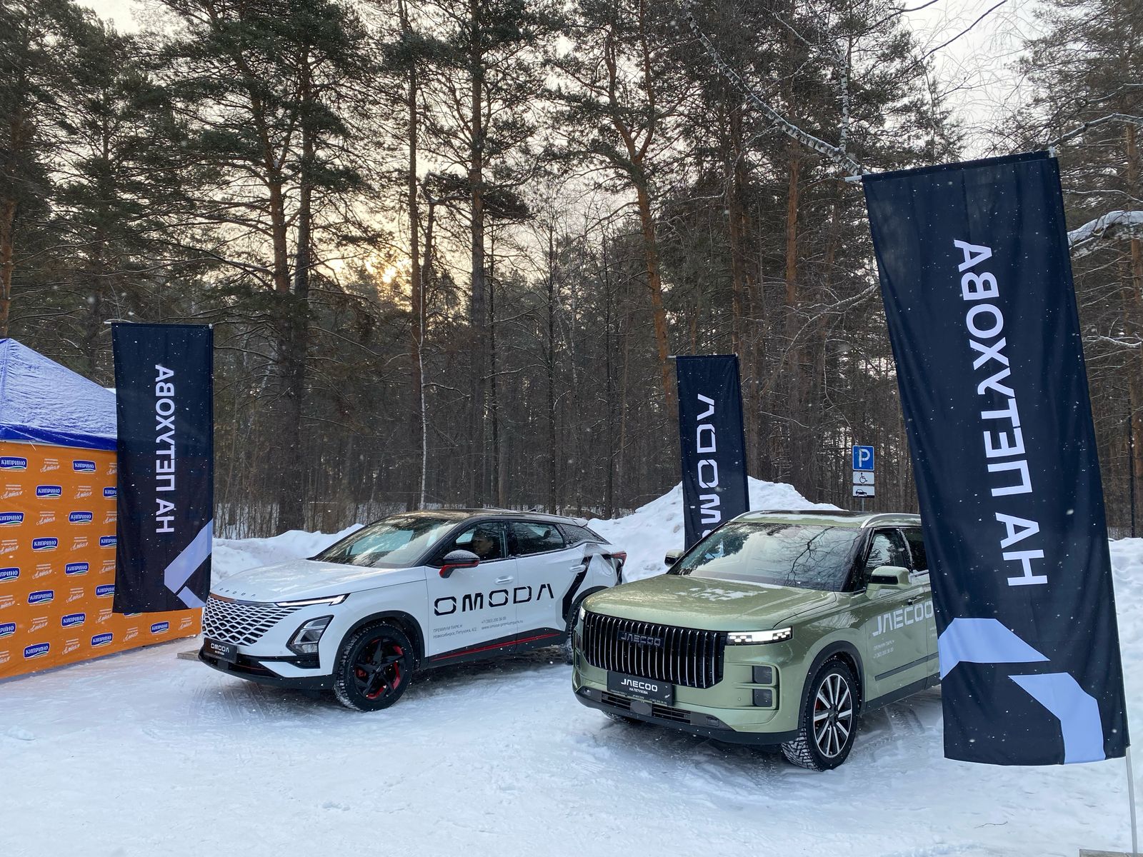 Масленица в Заельцовском парке