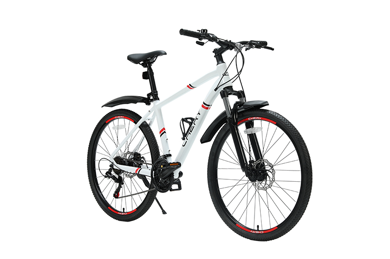 CHERY 26” с рамой 17”