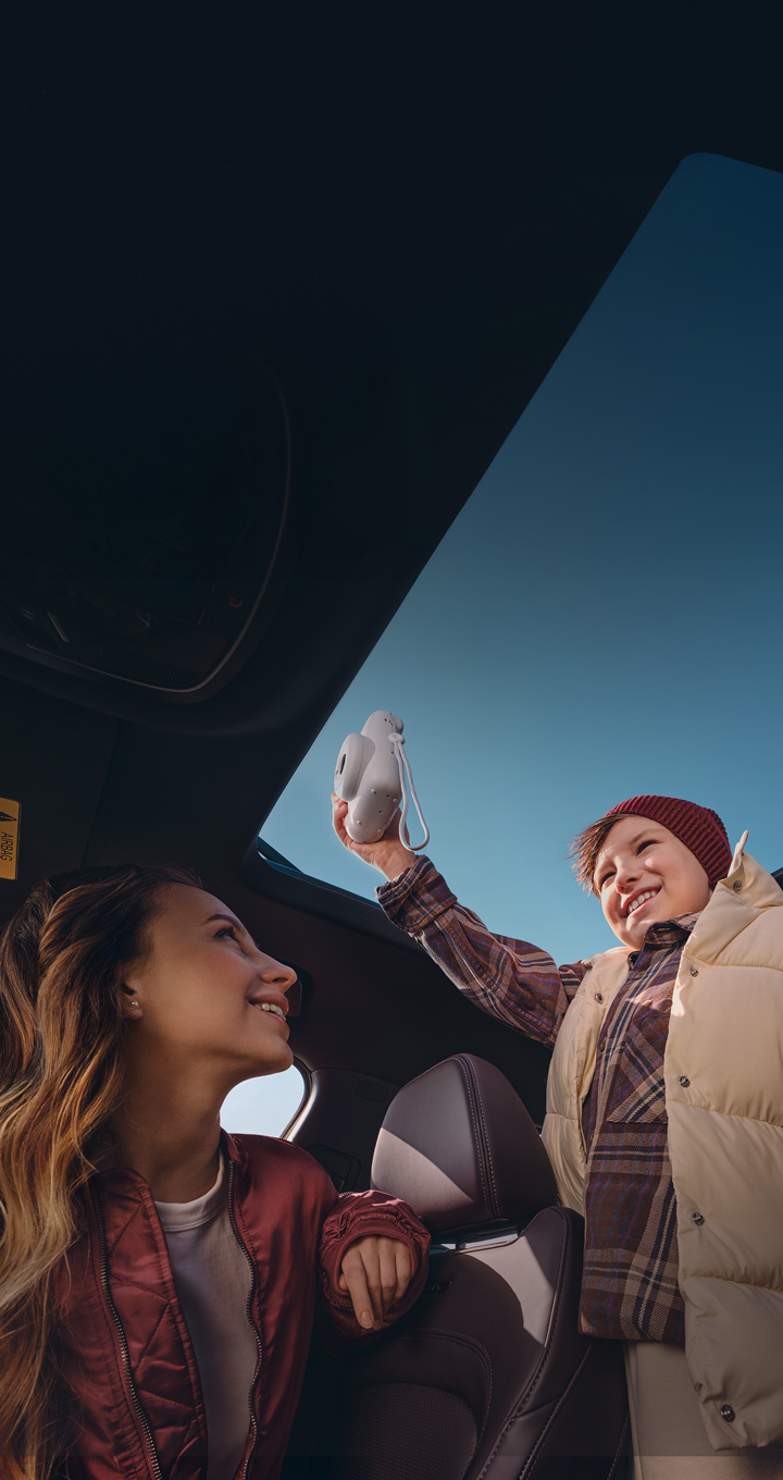 Панорамная крыша с люком