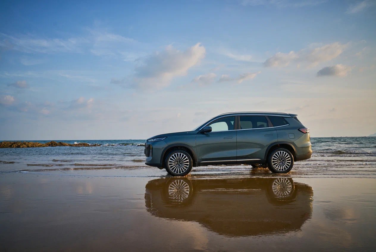 Китайские гибриды в России 2024