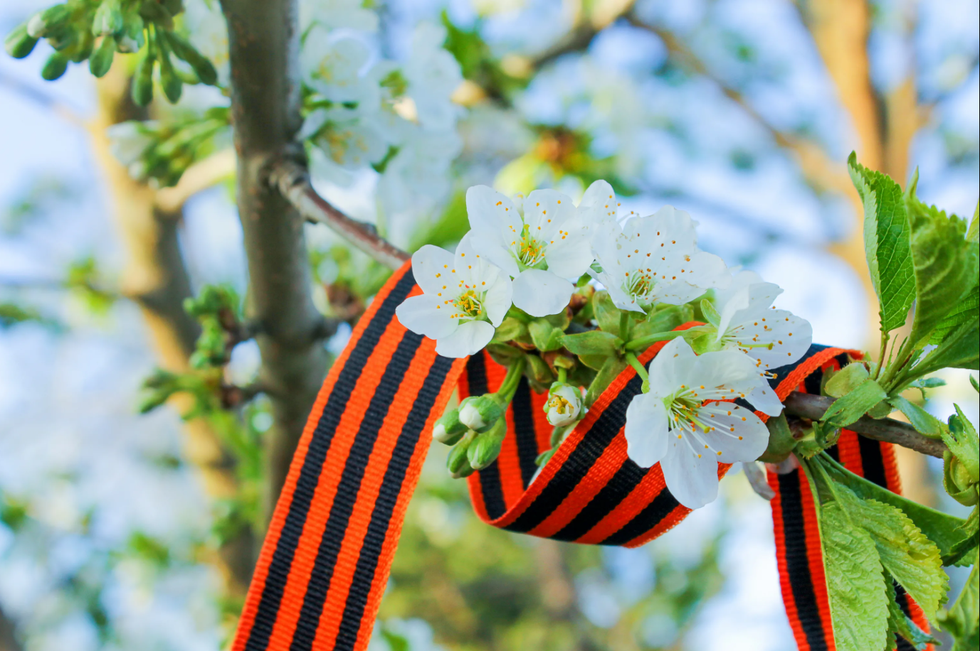 Поздравляем с Днём Победы!