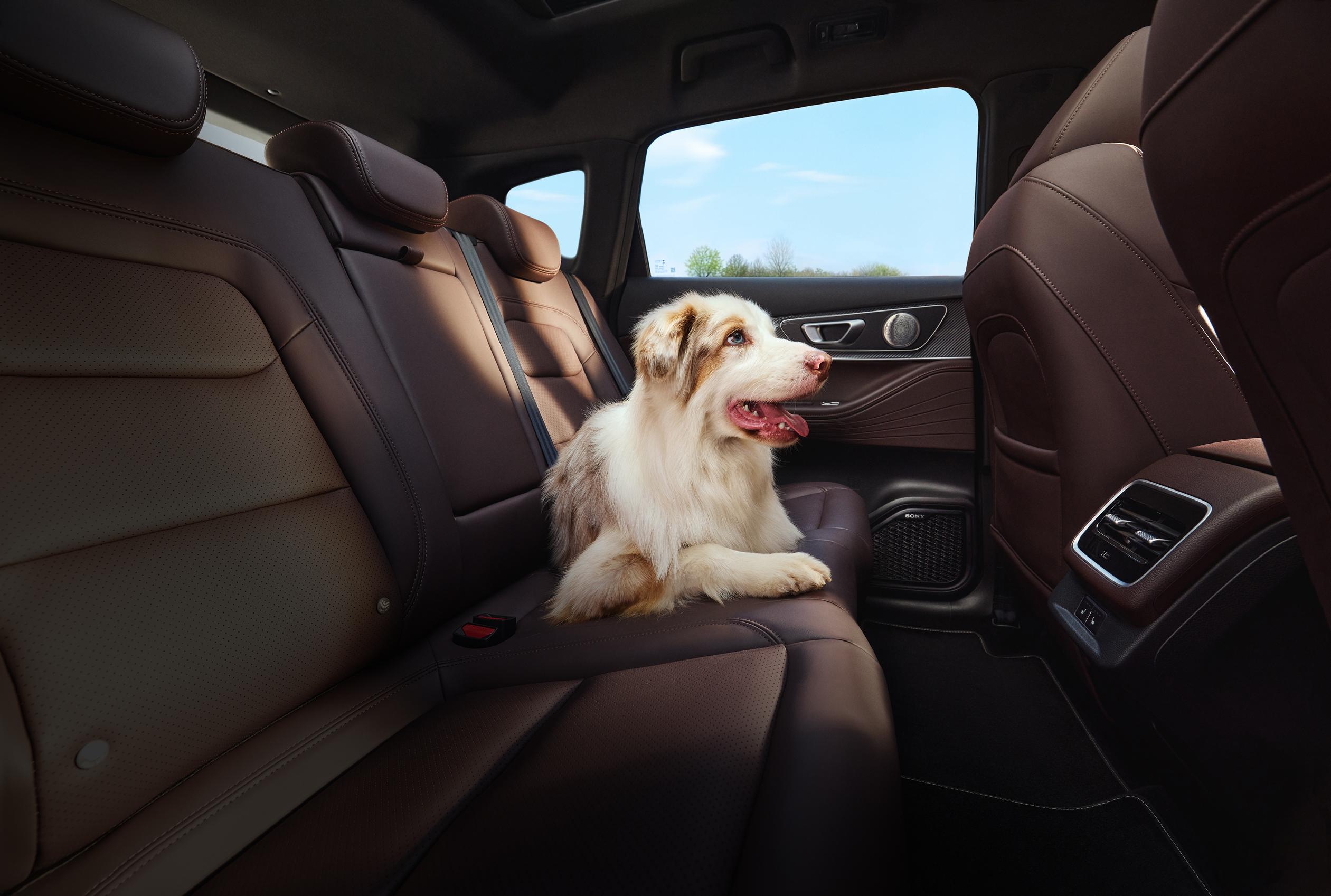 Уютная атмосфера