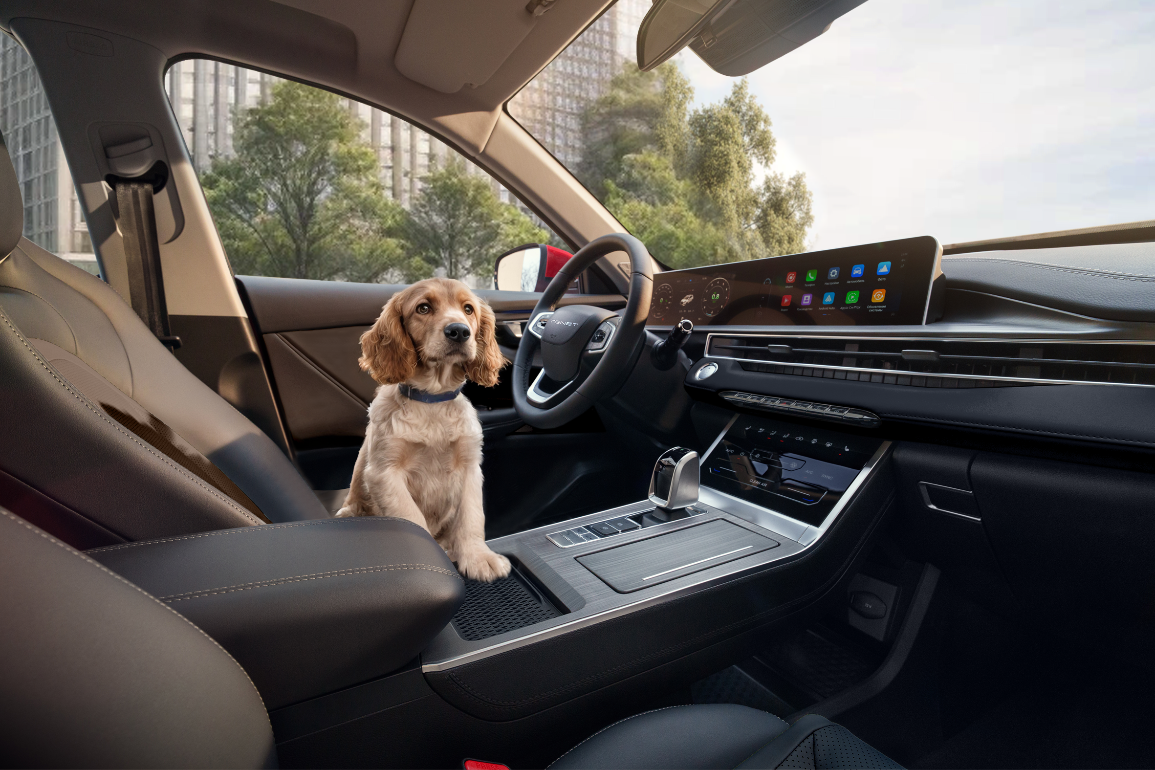 Техподдержка 5 лет