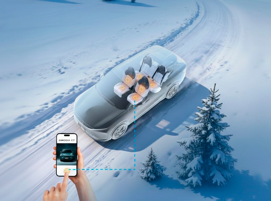 Единственное, куда сейчас хочется выйти - это в теплый автомобиль.  