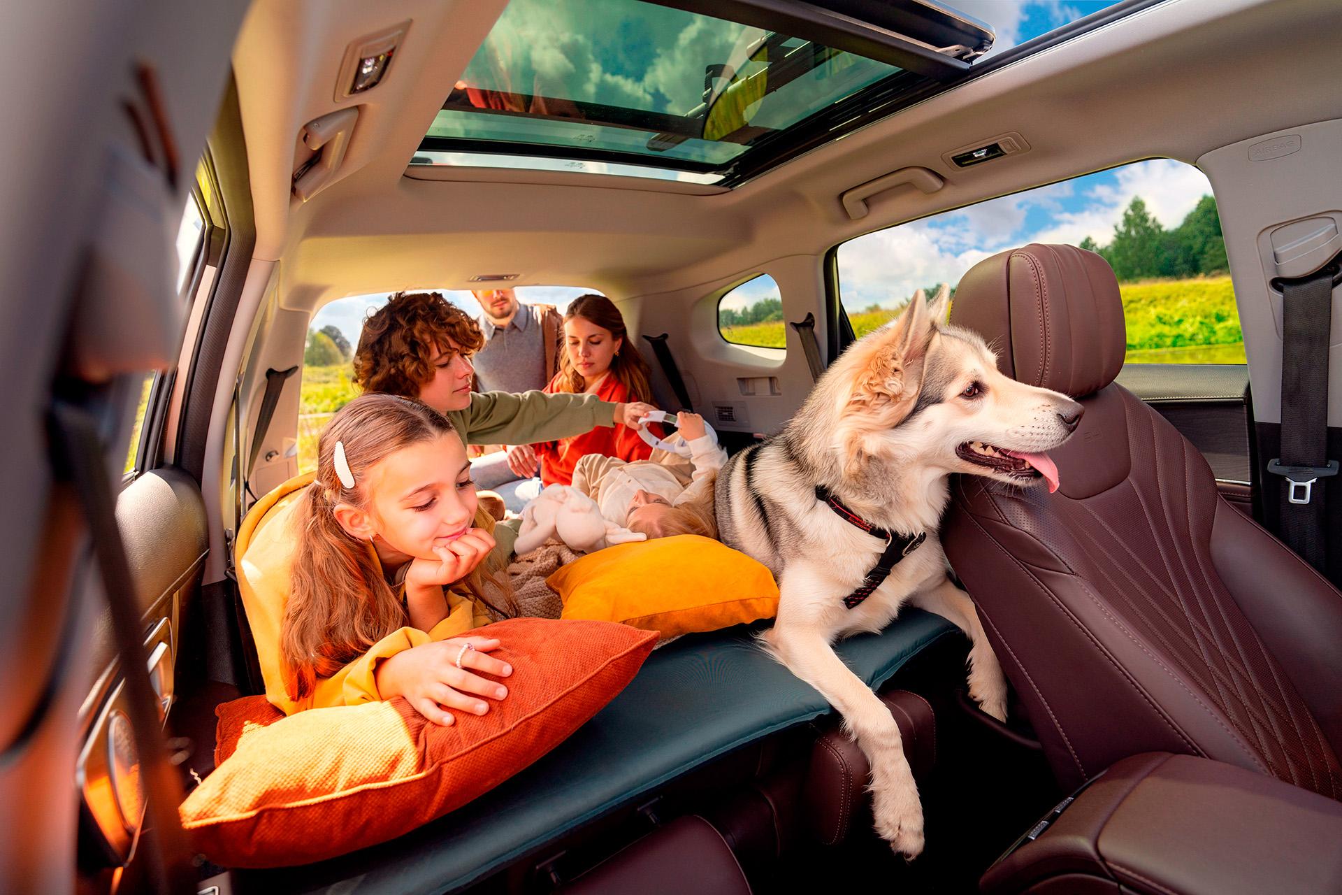 Эргономичные сиденья и панорамная крыша