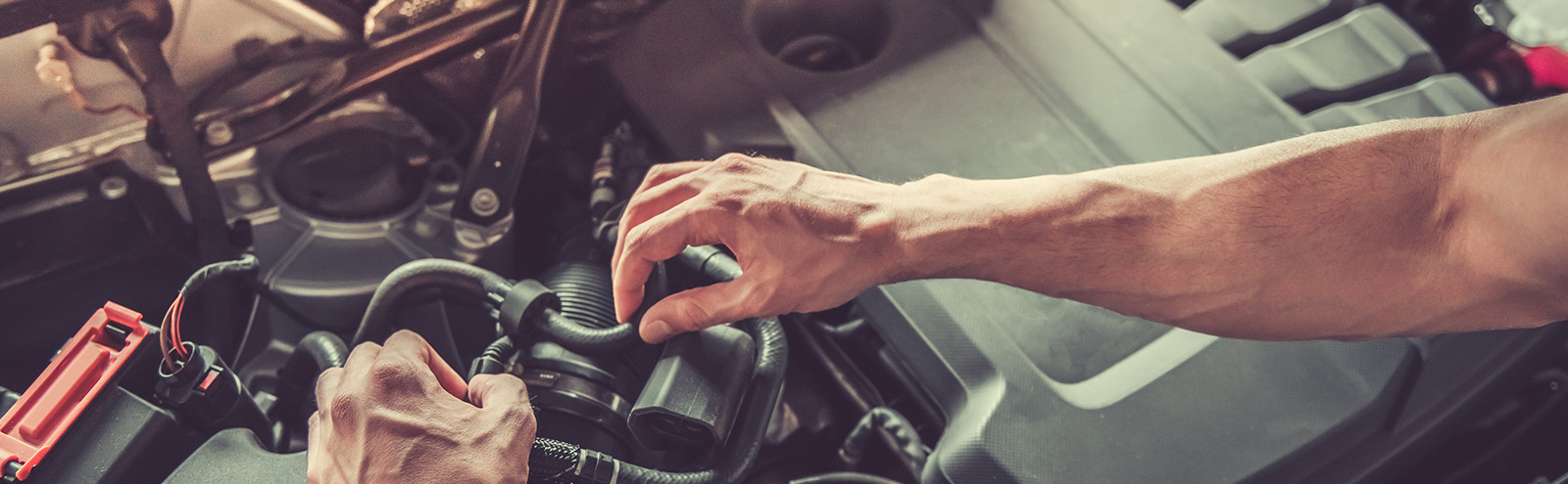 ВЛАДЕЛЬЦАМ<br>VITARA<br> ТО В ПОДАРОК