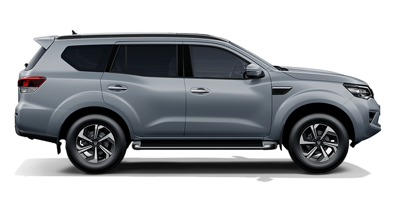 Метеоритный серый