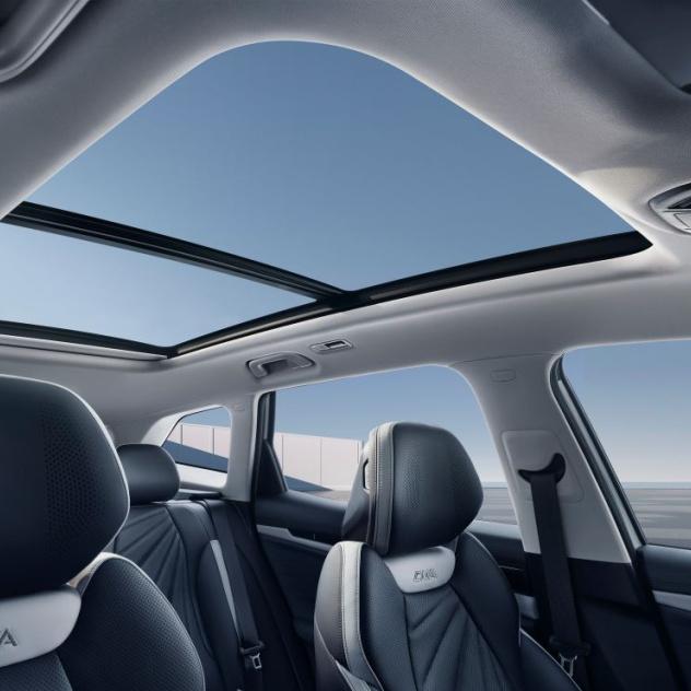 Панорамная крыша с люком