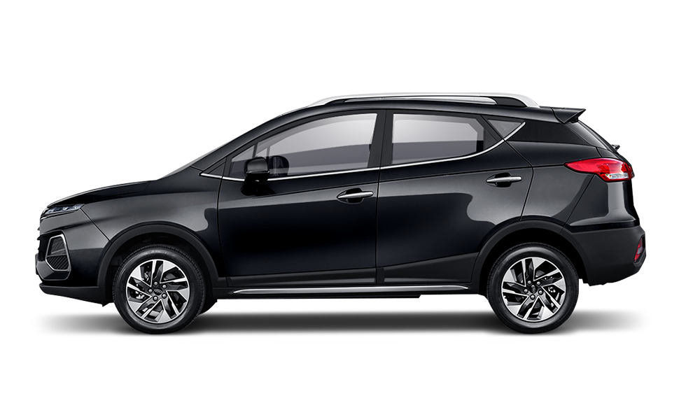 Черный жемчуг