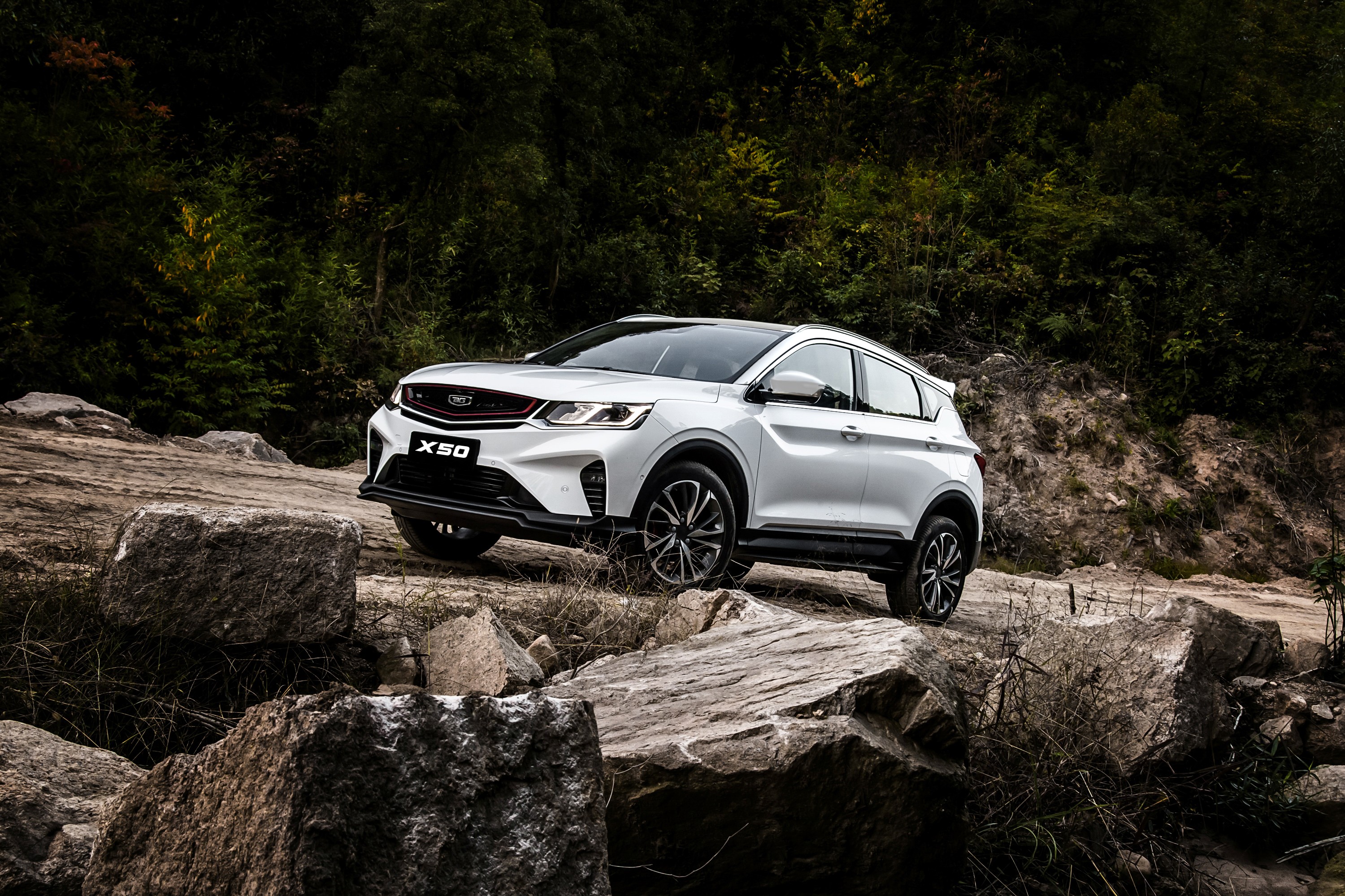 BELGEE РИНГ В БЕЛГОРОДЕ РАБОТАЕТ ДЛЯ ВАС