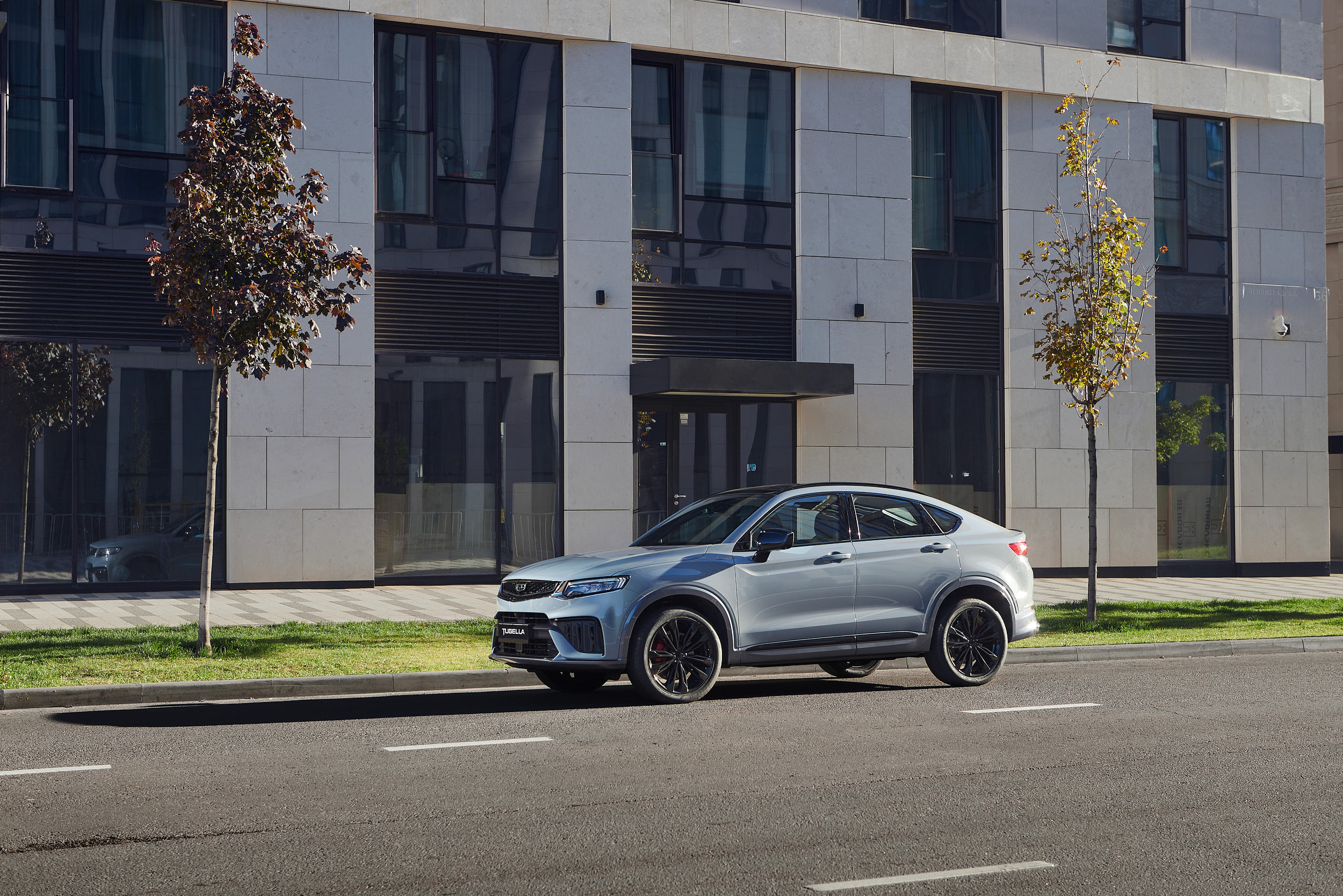 Перевозка животных в машине