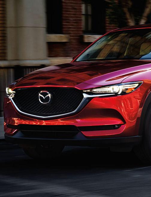 Масла линейки MZD