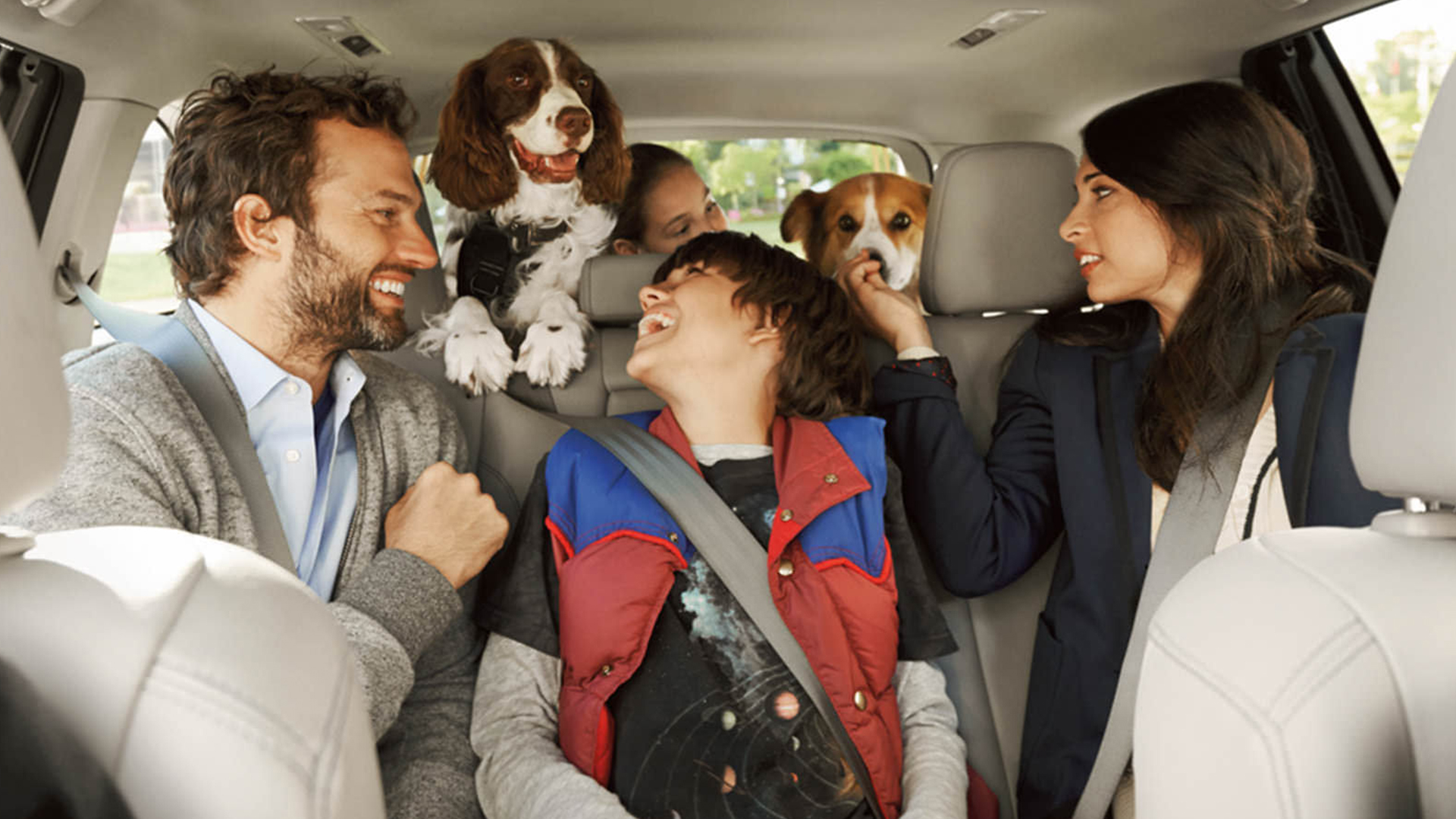 Антибактериальная обработка