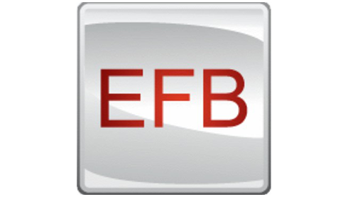 EFB (Enhanced Flooded Battery)