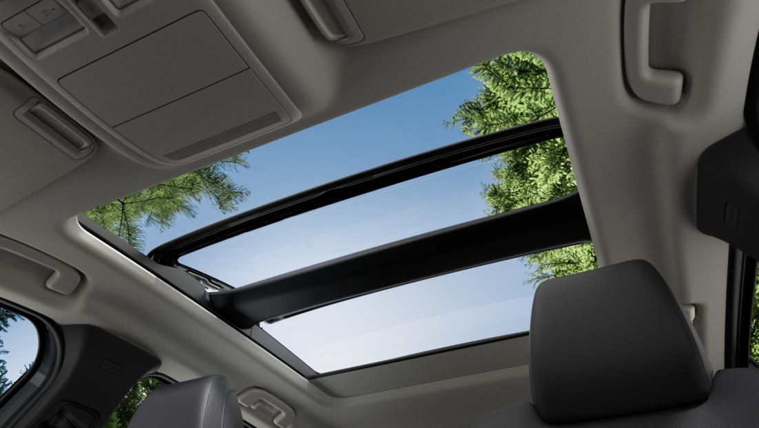 Панорамная крыша 