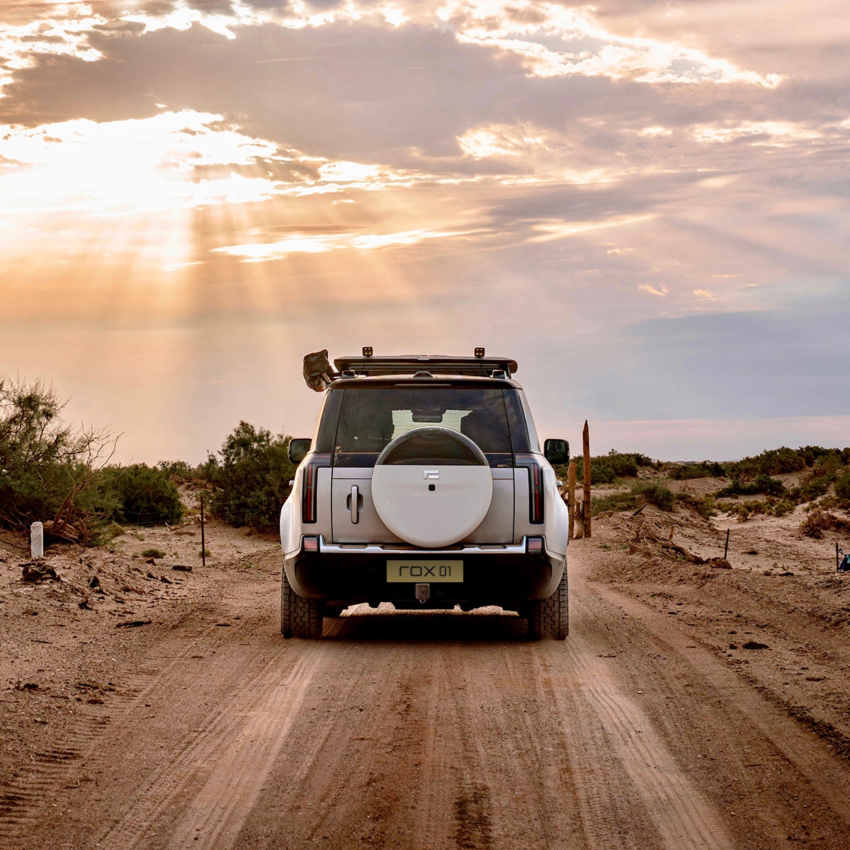 МАНИФЕСТ ROX