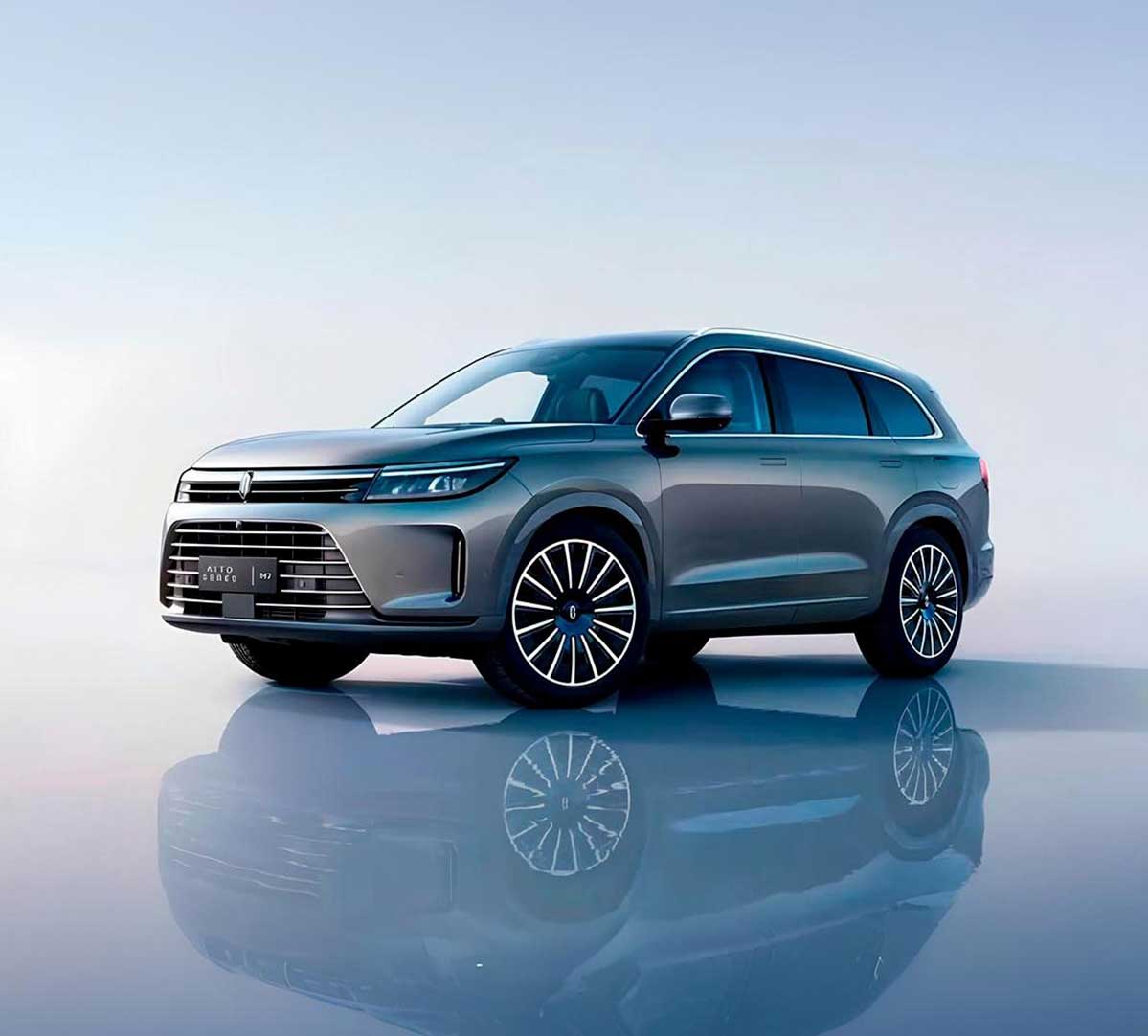 Для государственных организаций*