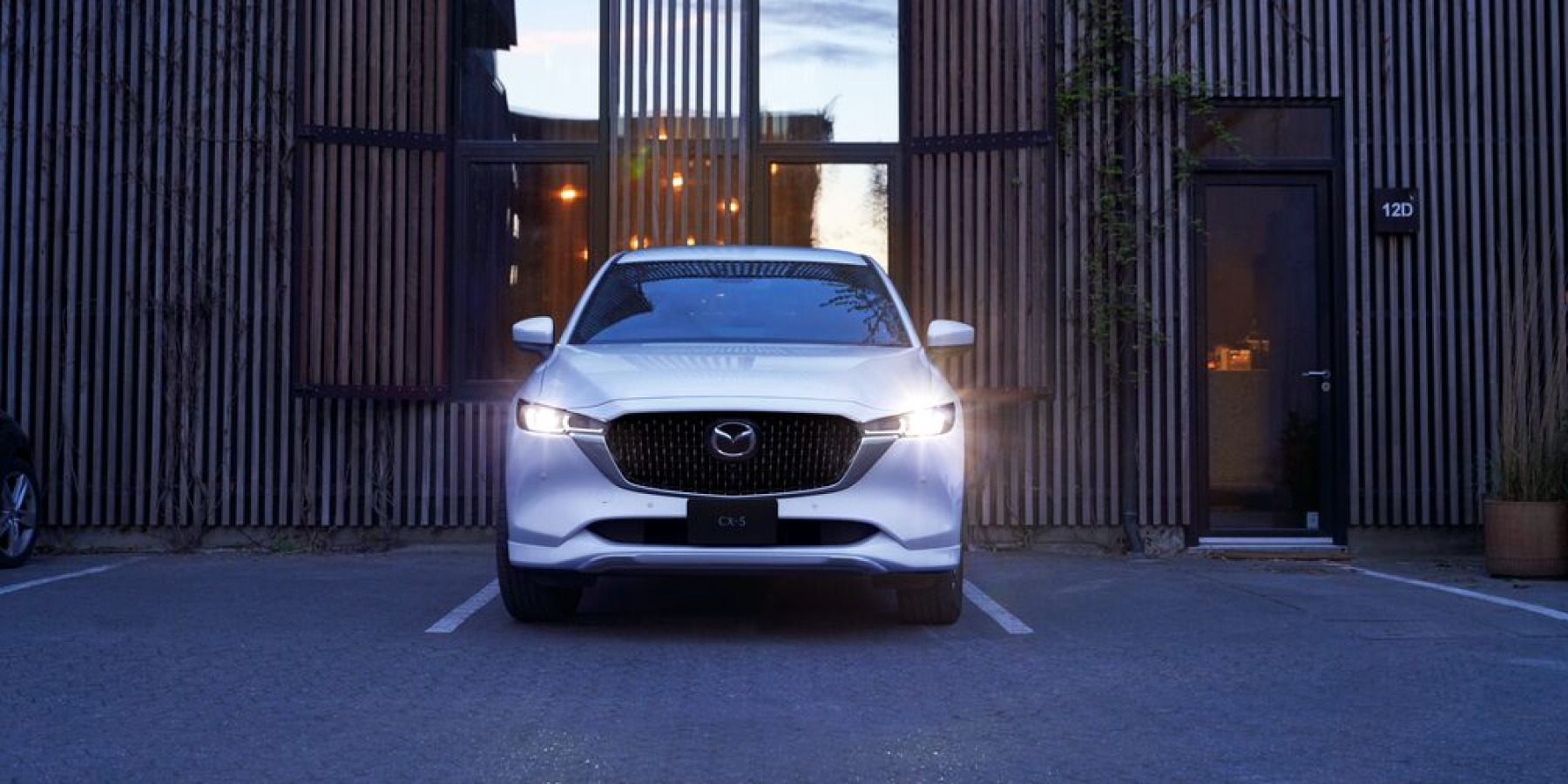 Камеры кругового обзора