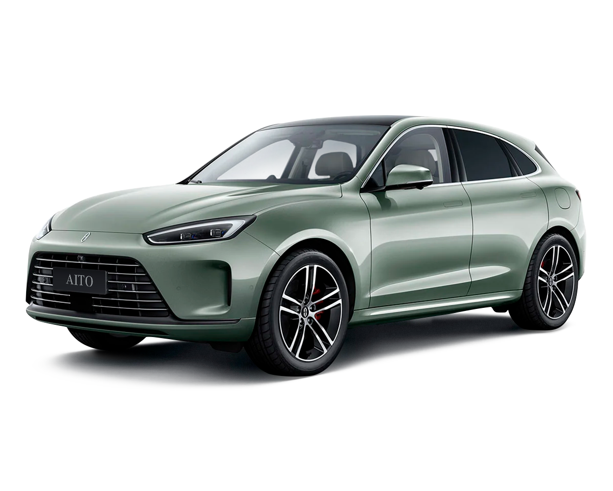 Зеленая морозная сосна