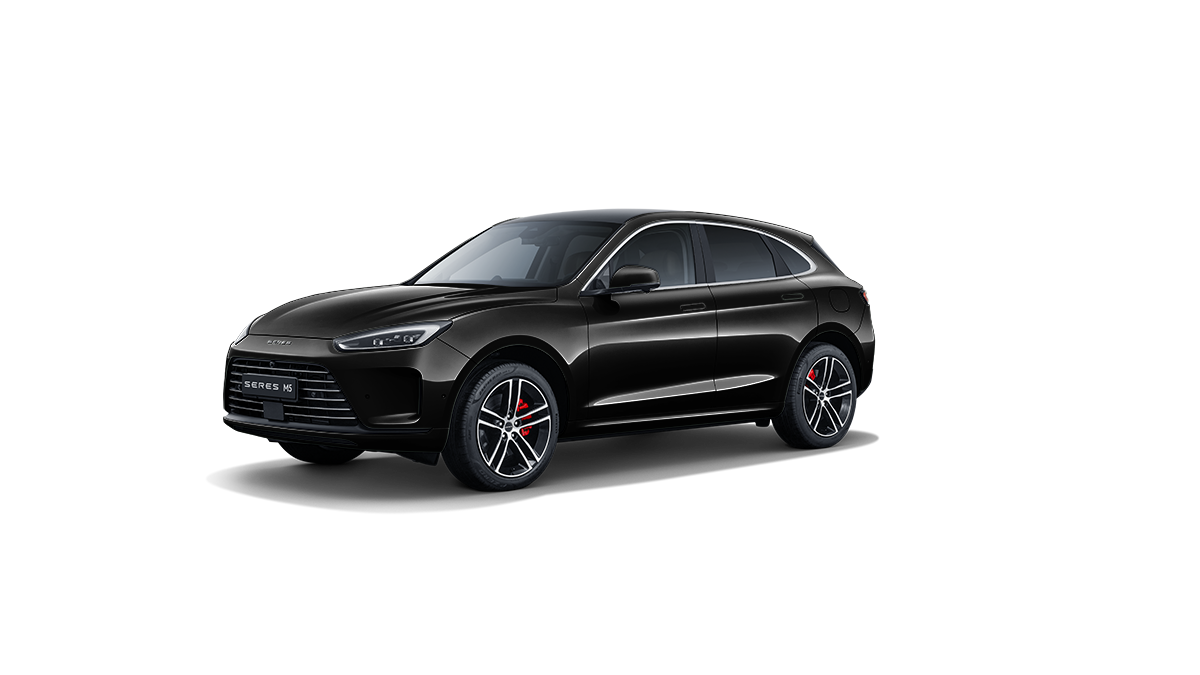 Позолоченный черный