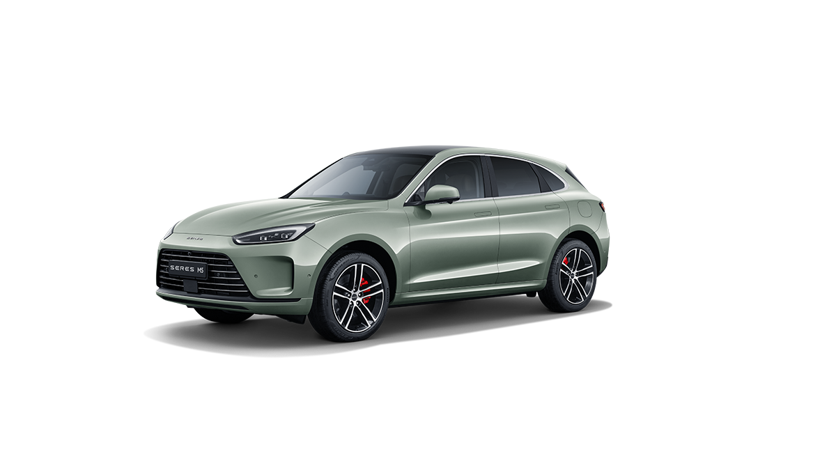 Зеленая морозная сосна