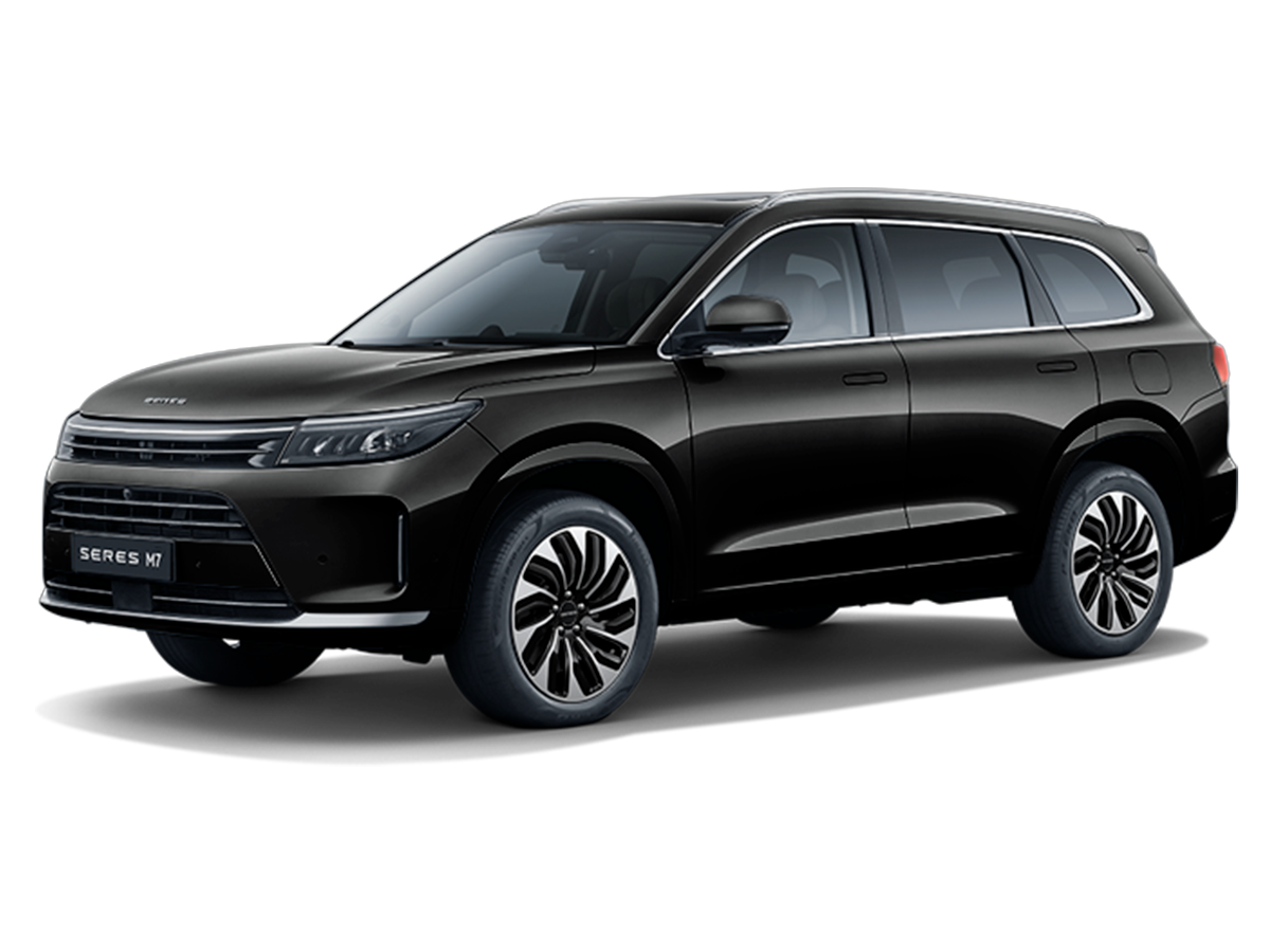 Позолоченный черный