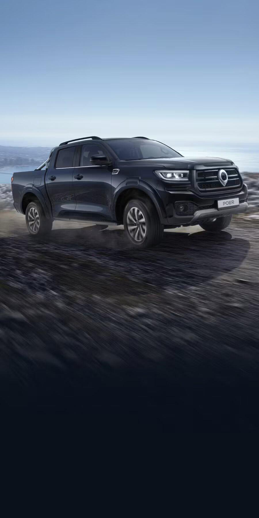 {{<h1>}}GWM POER{{</h1>}}