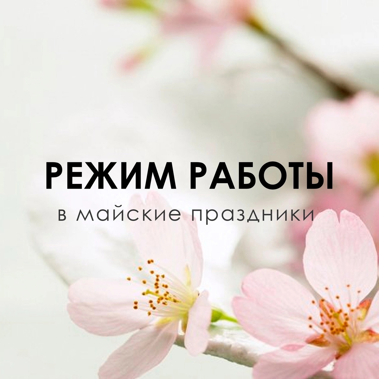 Режим работы дилерского центра в период майских праздников