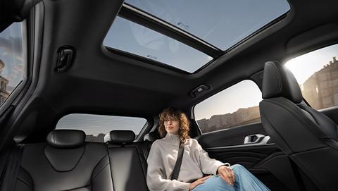 Панорамная крыша