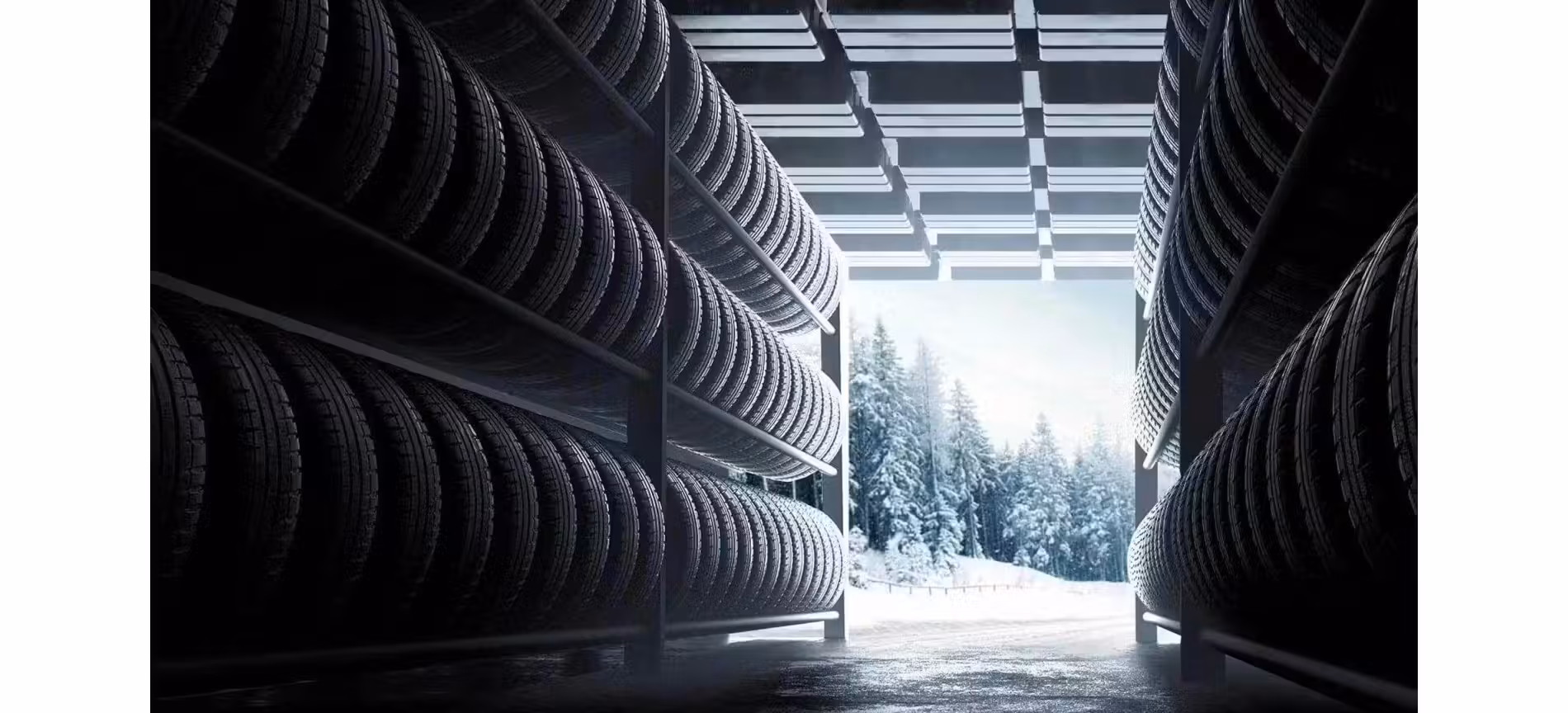 Сезонный шиномонтаж по выгодной цене