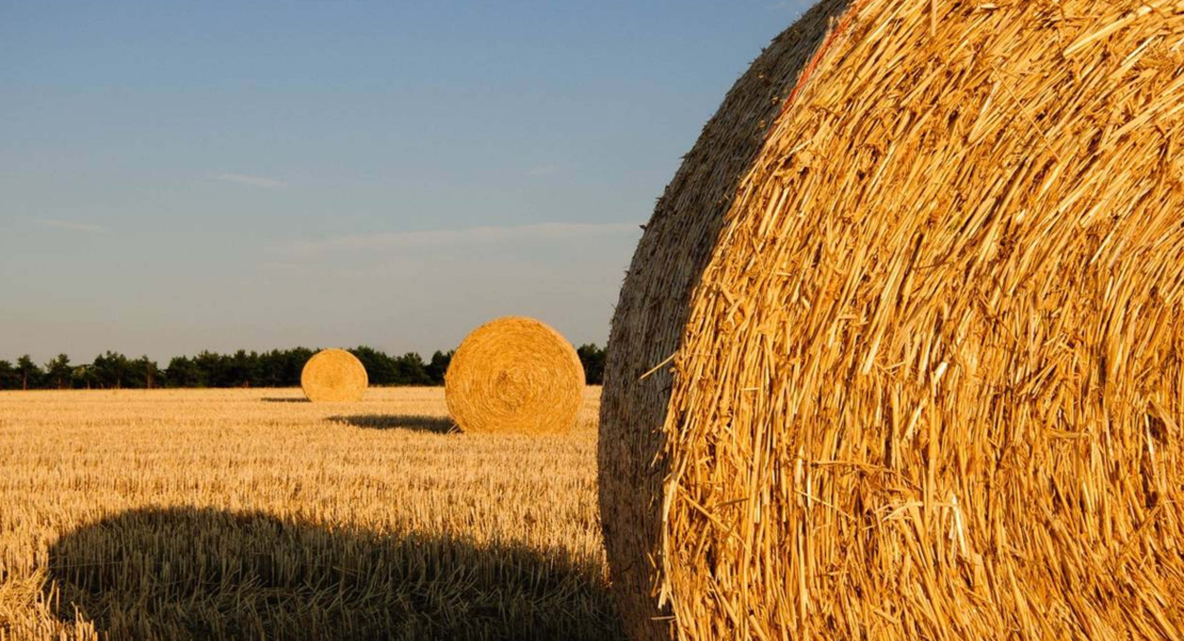 День Тульского поля 2025: выставка сельскохозяйственной техники и технологий