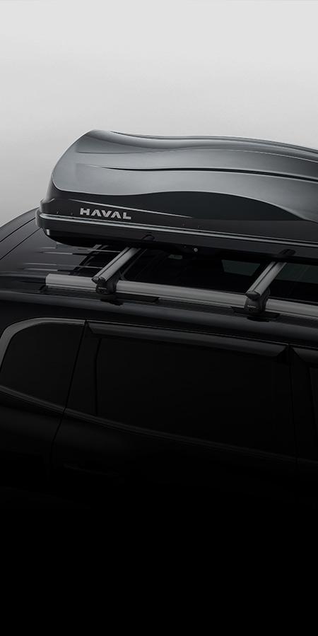 {{<h1>}}Оригинальные аксессуары HAVAL{{</h1>}}