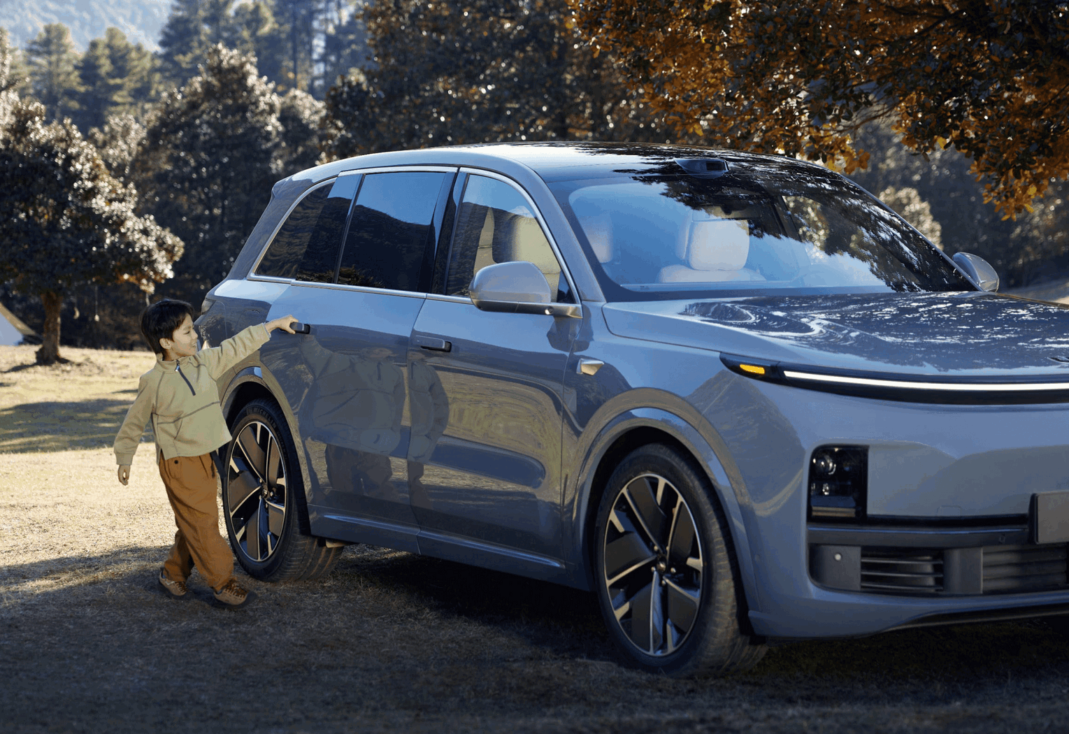 Регулировка дорожного просвета