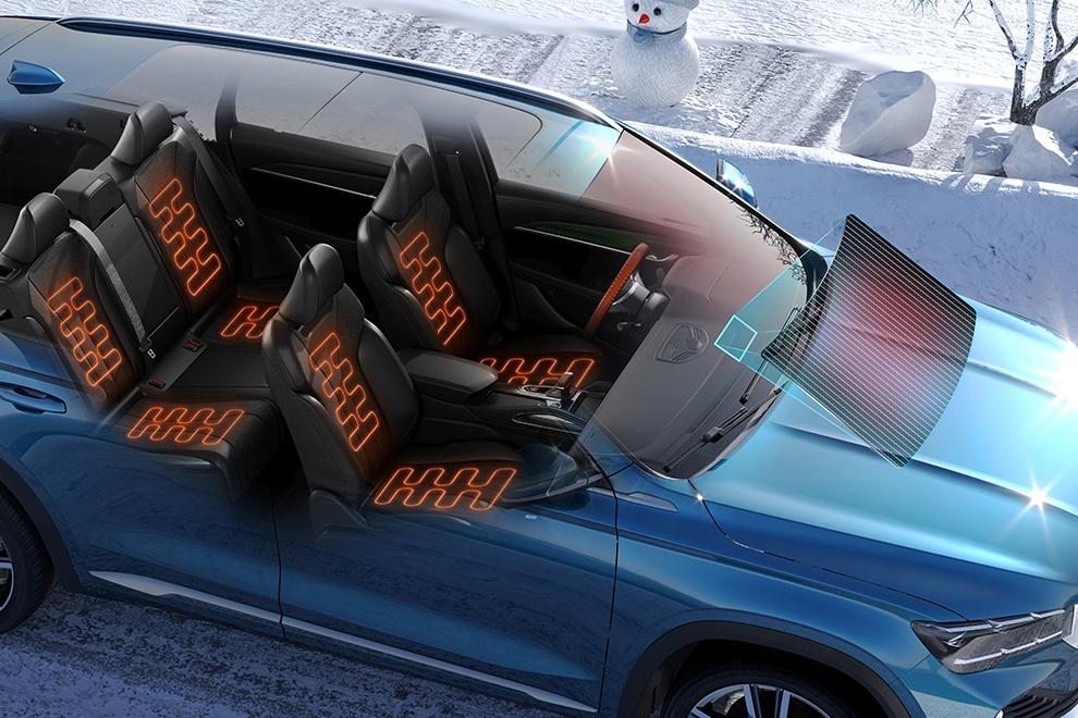 Зимние опции и адаптация для России