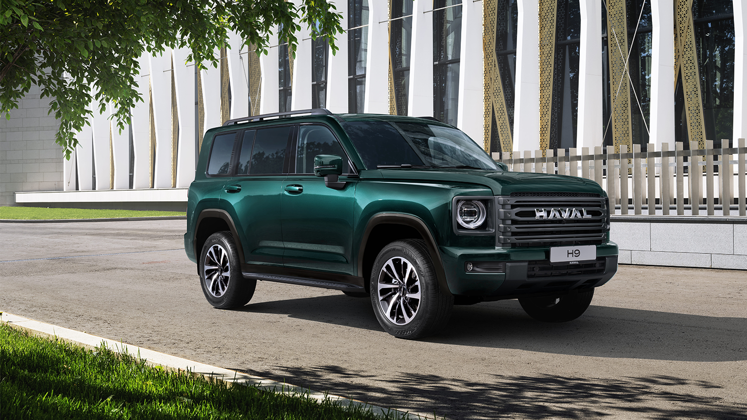 БЕЗУПРЕЧНЫЙ ВИД